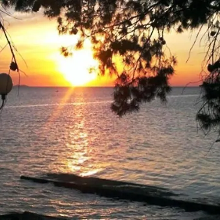 Charming Studio Annie Diklo A3 2 Pax Apartment Zadar